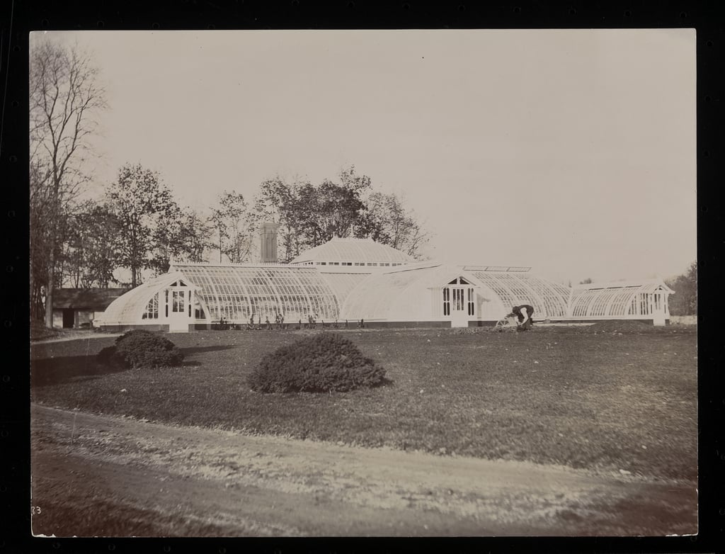 189394年、ニューヨーク州ラインクリフのジョンジェイコブアスター邸にある温室（シルバーゼラチンプリント）